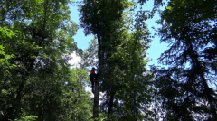 君友康青钱柳：传承饮“饮”领大健康 为国人保驾护航